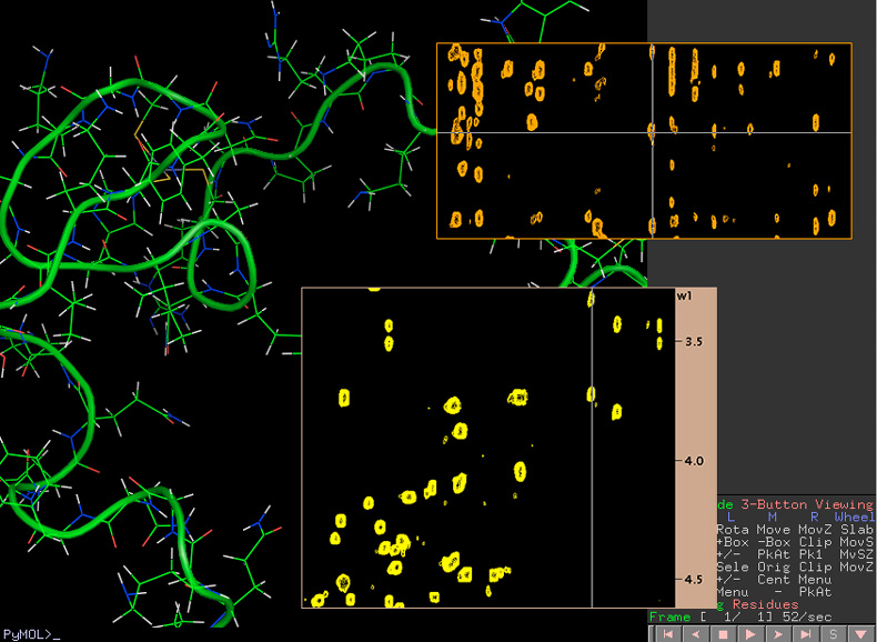 Saclay NMR projects