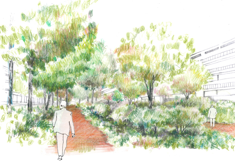 Illustration du projet de jardin de l'ENS Paris-Saclay - Crédit : Agence après la Pluie Illustration du projet de jardin de l'ENS Paris-Saclay - Crédit : Agence après la Pluie